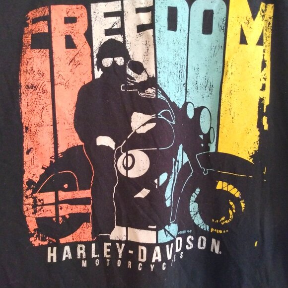 Harley-Davidson Distressed Colorblock Graphic T-Shirt XL Moto Biker Streetwear - Picture 2 of 8